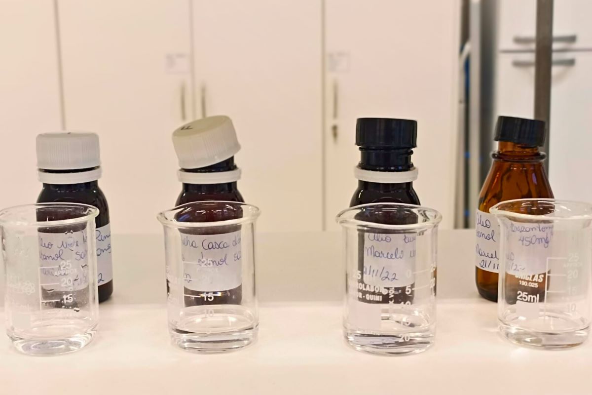 Pesquisa Catarinense identifica efeito de óleos naturais contra mosquito da dengue