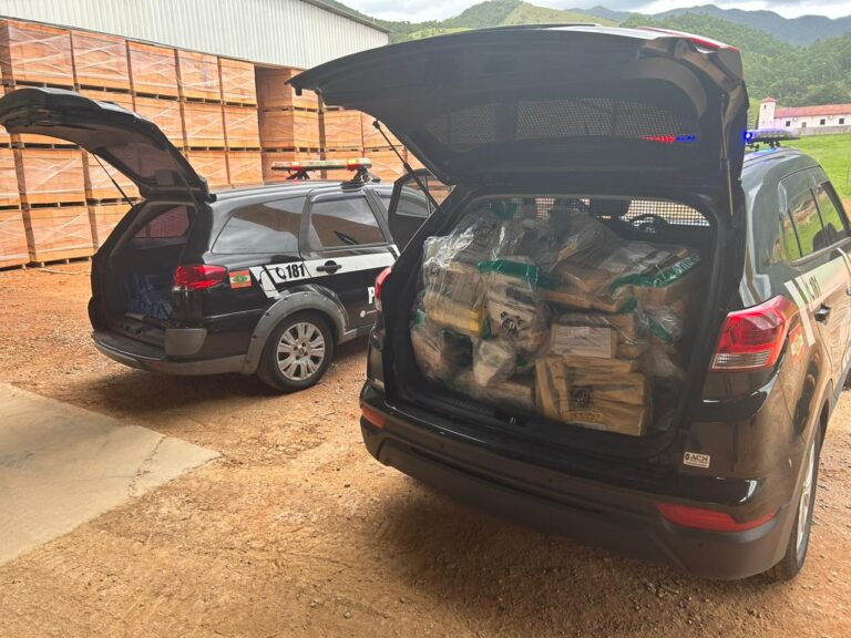 Polícia Civil incinera cerca de meia tonelada de drogas apreendidas na Grande Florianópolis
