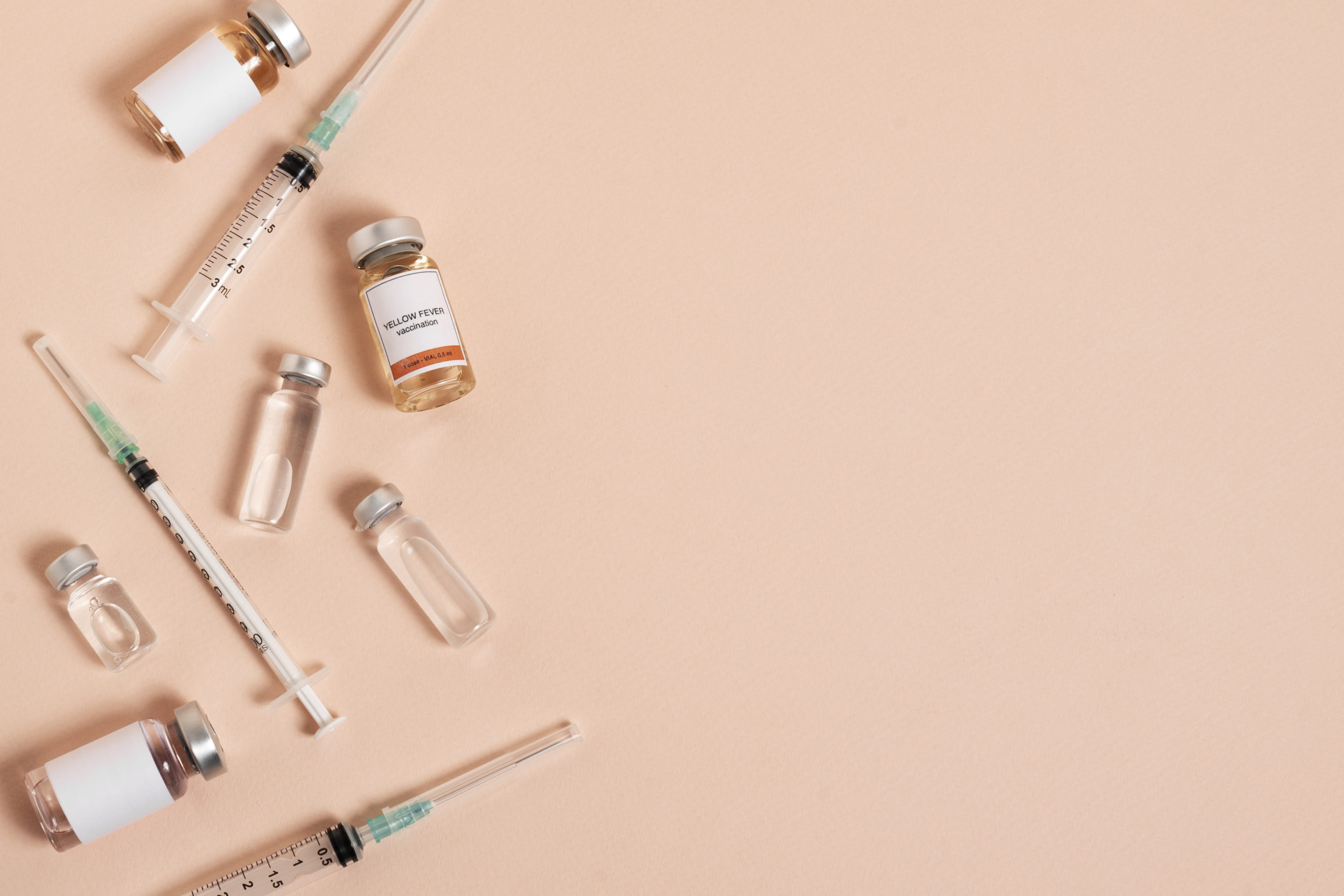 Remessa com 15 mil doses da vacina contra a dengue chega a Santa Catarina