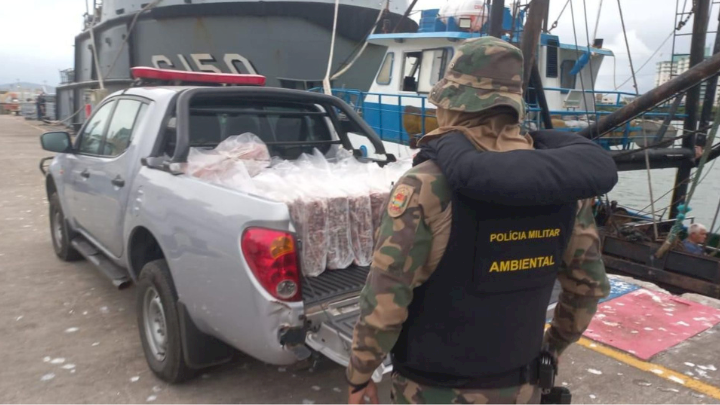 Mais de três toneladas de pescado ilegal são apreendidas e infratores autuados em R$ 64 mil