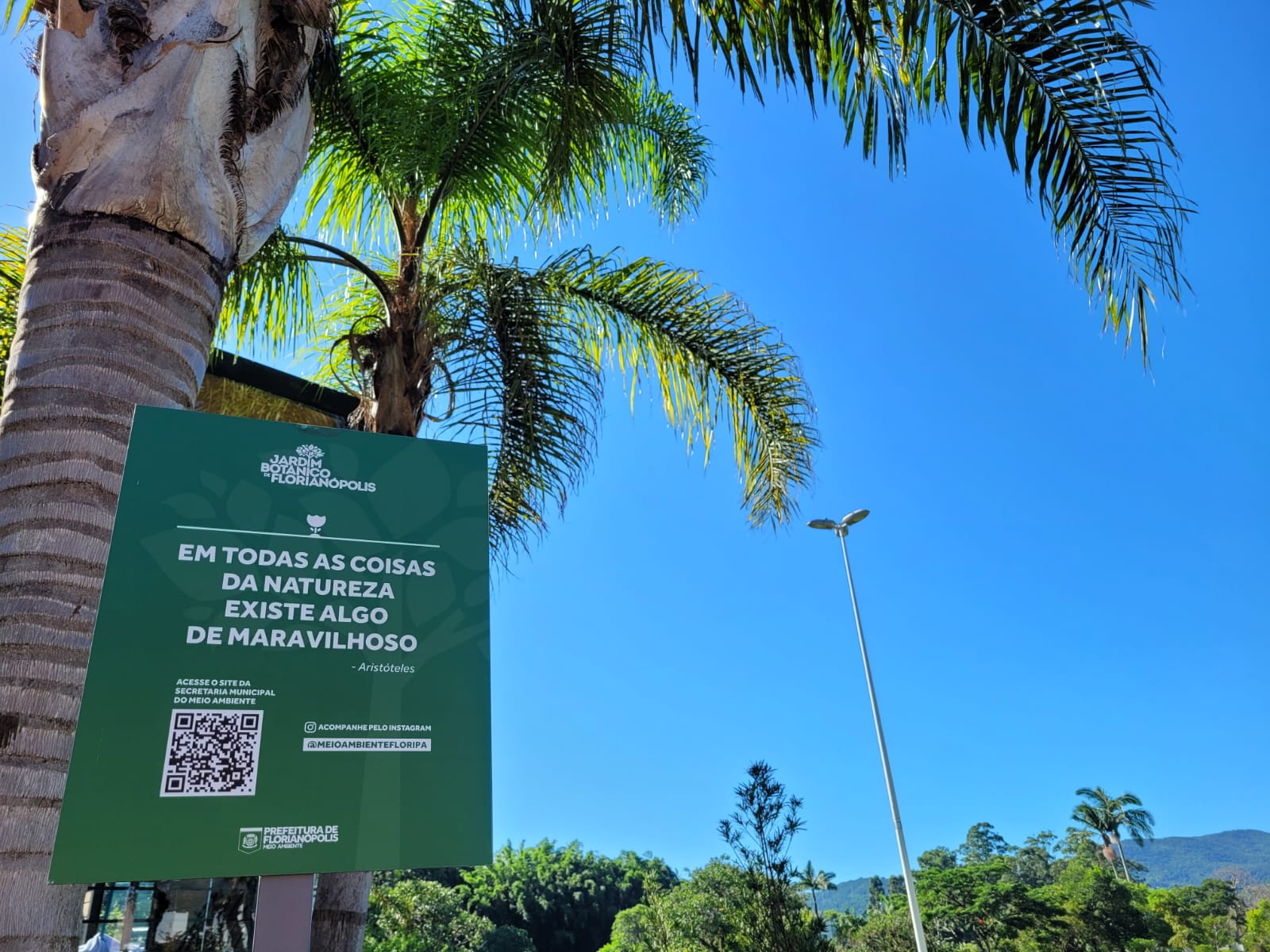 Florianópolis: conheça parques e áreas verdes que trazem qualidade de vida à cidade