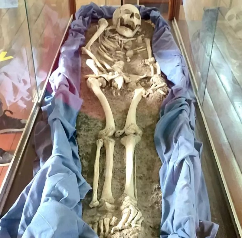 Homens do Sambaqui: saiba quem foram os primeiros habitantes de Florianópolis