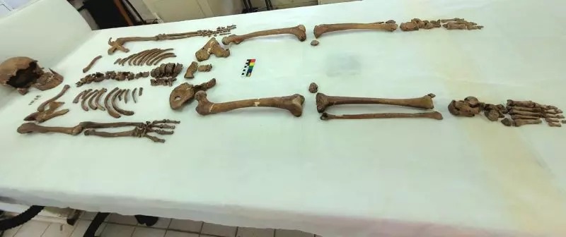 Homens do Sambaqui: saiba quem foram os primeiros habitantes de Florianópolis