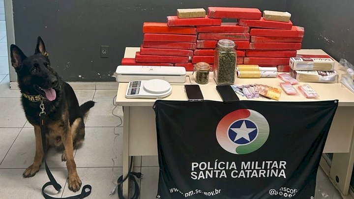 Operação policial apreende 25 kg de maconha em Florianópolis