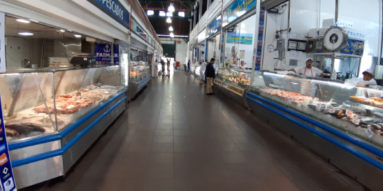 Preço dos peixes em alta na Quaresma preocupa consumidores em Florianópolis