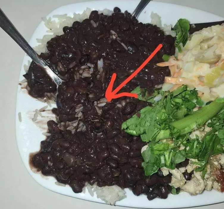 estudantes-denunciam-intoxicacao-e-insetos-na-comida-do-ru-da-ufsc-mp-investiga2