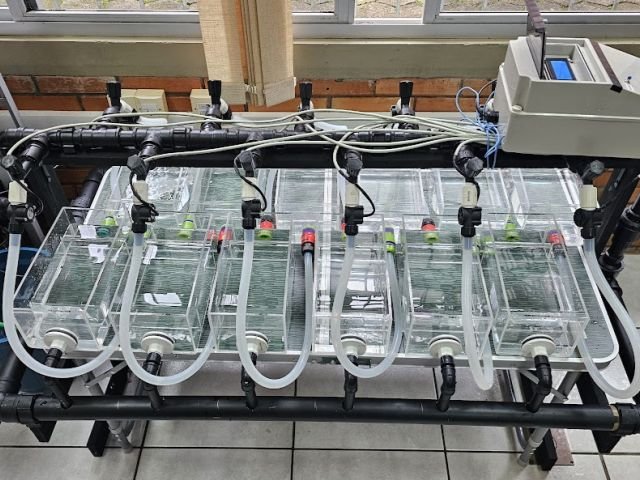 florianopolis-lidera-projeto-inovador-para-preservar-os-mares-e-produzir-com-sustentabilidade