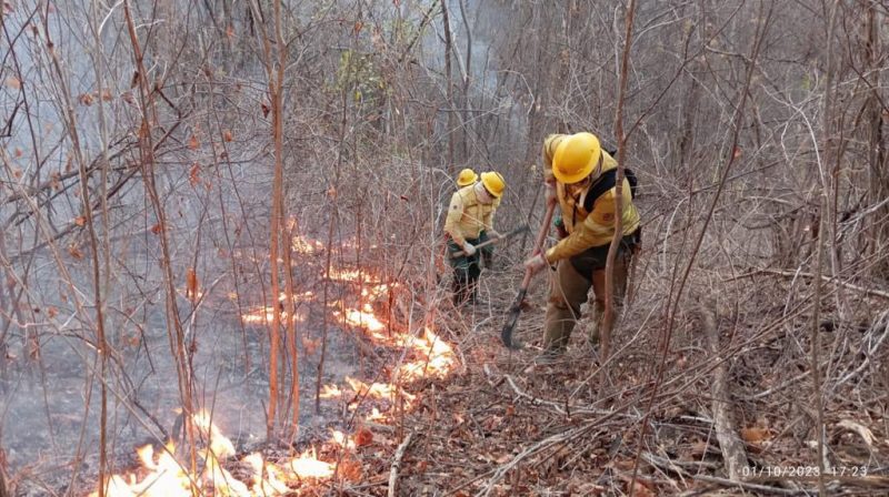Em meio à chuvas, força-tarefa controla principais focos do incêndio na Serra da SC