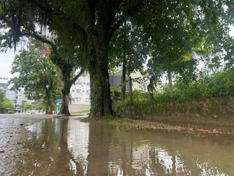 Fortes chuvas e maré alta podem causar alagamentos em Joinville ao longo desta quinta