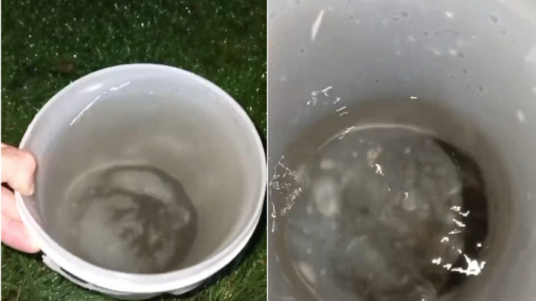 SC registra primeira ocorrência de chuva preta em função da fumaça das queimadas