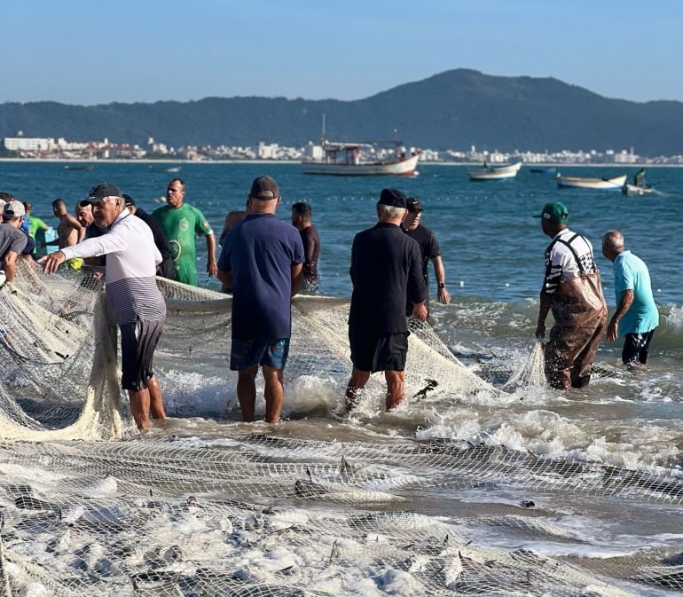 Safra da Tainha começa nesta quinta-feira em Florianópolis; confira a programação