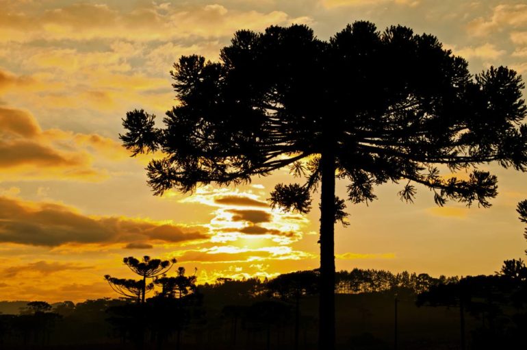 Santa Catarina se destaca em ranking nacional de turismo responsável com seis destinos premiados