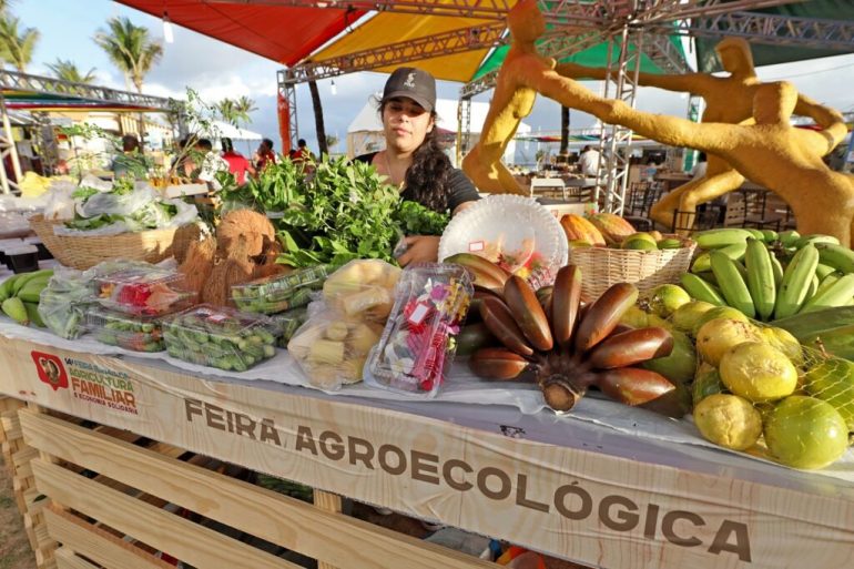 feiras-e-mercados-locais-mantem-vivas-as-tradicoes-da-agricultura-familiar-em-santa-catarina1