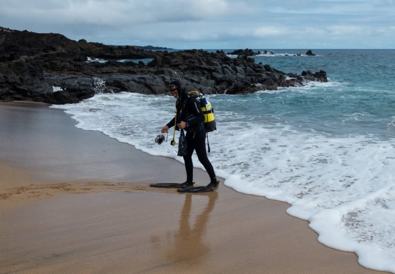 pesquisadores-da-ufsc-identificam-especies-de-peixes-mais-antigas-que-a-propria-ilha-onde-vivem1