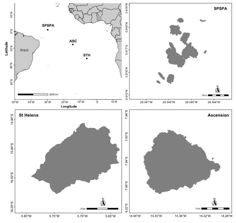 pesquisadores-da-ufsc-identificam-especies-de-peixes-mais-antigas-que-a-propria-ilha-onde-vivem1