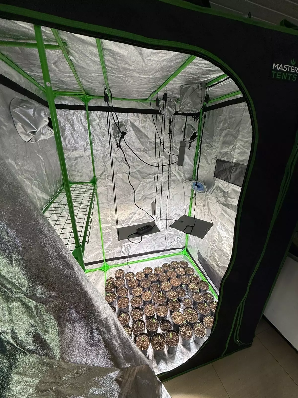 policia-militar-apreende-estufa-com-120-pes-de-maconha-em-palhoca2