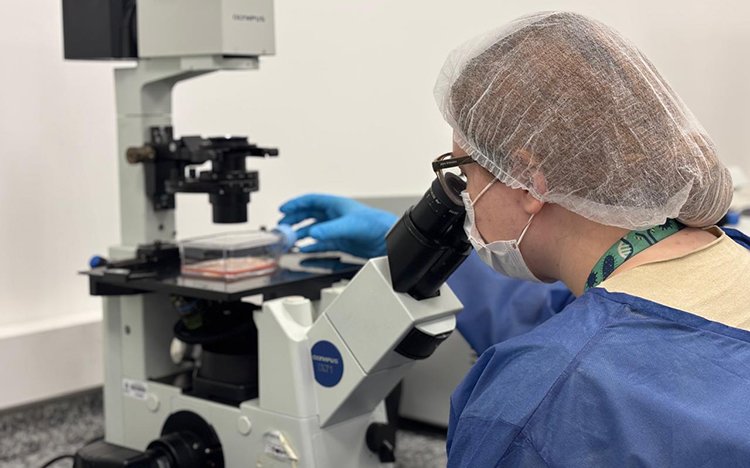 produto-criado-com-oleo-de-oregano-neutraliza-virus-causador-de-diarreia-e-do-vomito-segundo-estudo-da-ufsc