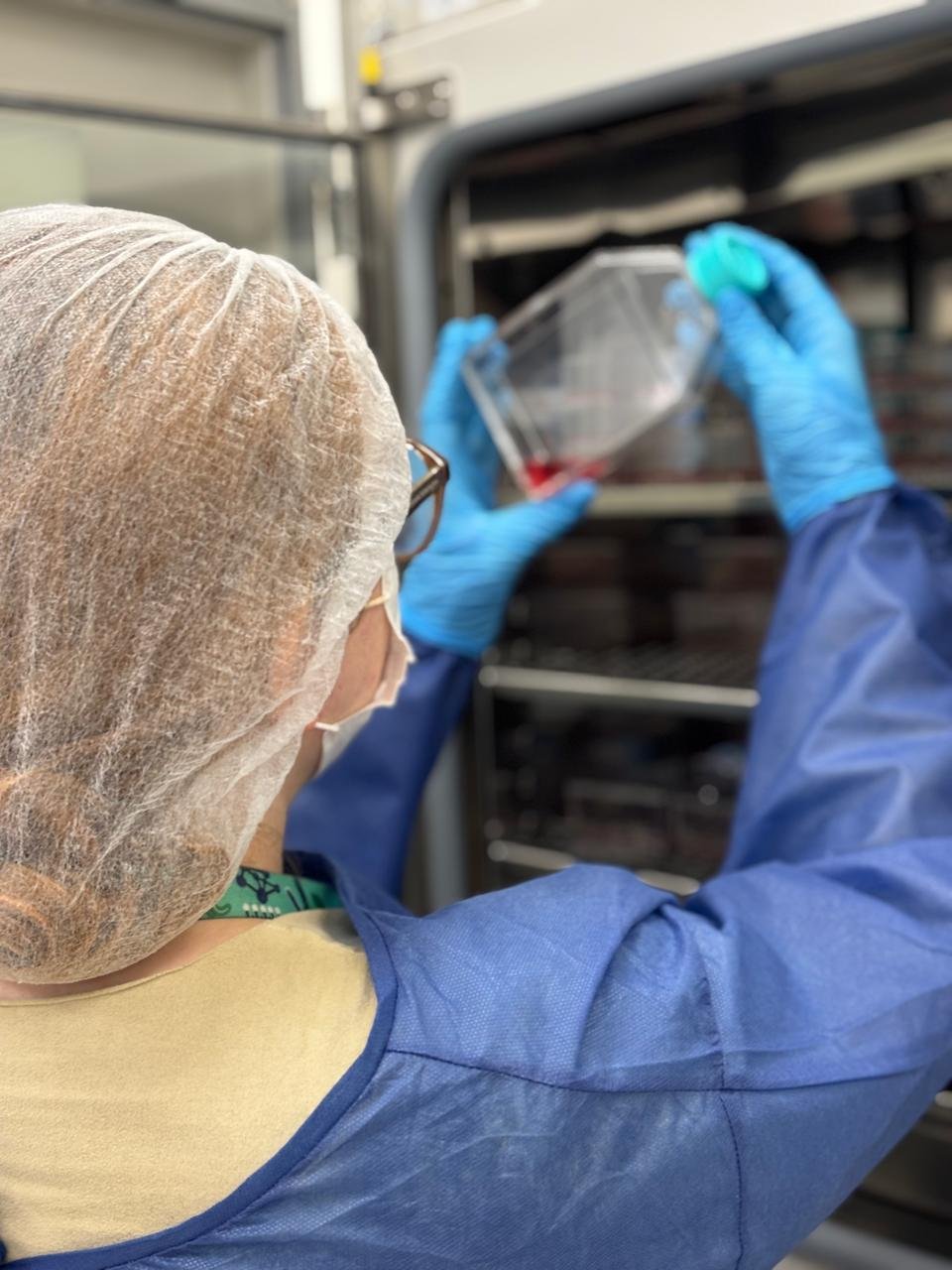 produto-criado-com-oleo-de-oregano-neutraliza-virus-causador-de-diarreia-e-do-vomito-segundo-estudo-da-ufsc1