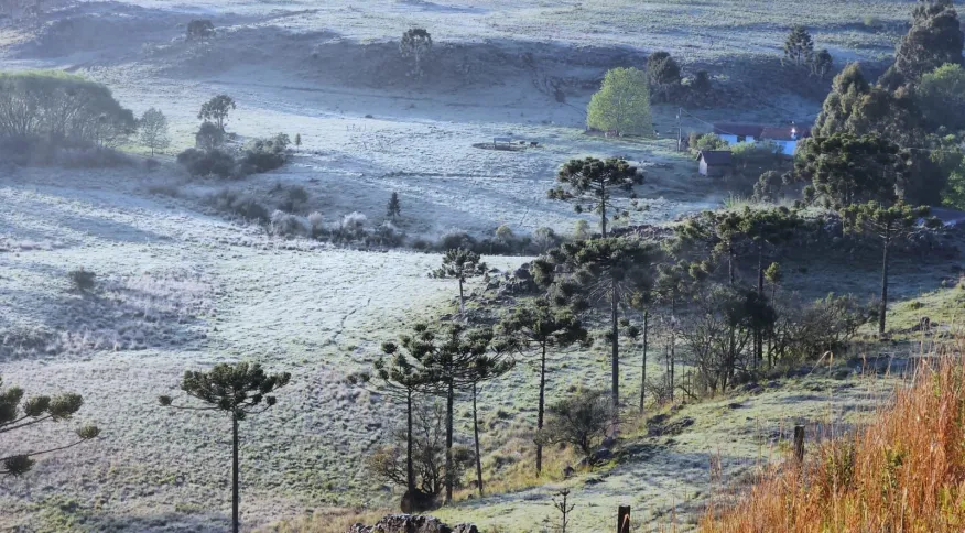 Governo de SC une secretarias para discutir temporada de frio no turístico do estado