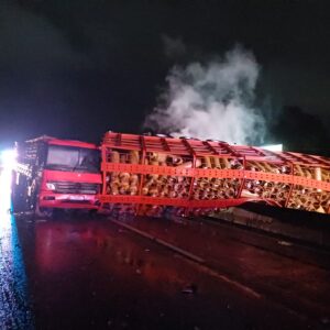 Caminhão carregado de gás tomba e pega fogo na BR-101 em Joinville; rodovia já está liberada