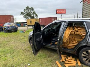 Caminho do tráfico: PRF apreende meia tonelada de maconha e recupera carro roubado em Itajaí