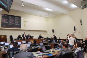 Florianópolis aprova lei que proíbe venda de cães e gatos e reforça combate ao comércio clandestino de animais