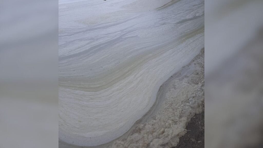 Mancha escura com espuma intriga moradores na Lagoa da Conceição, em Florianópolis