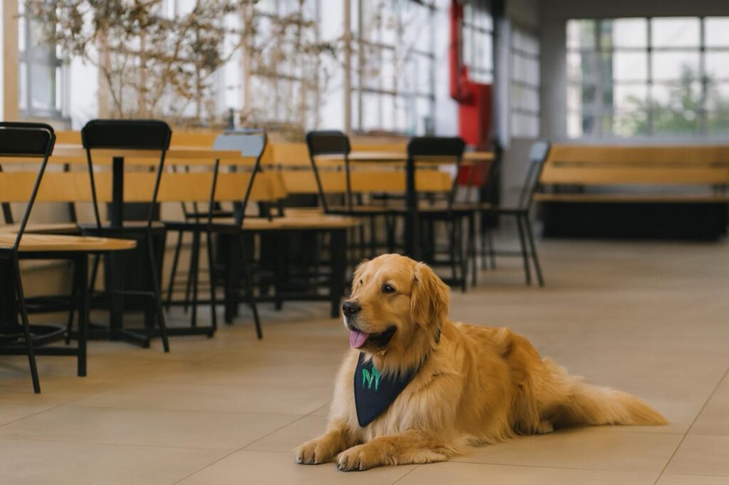 Foto: Imagem Ilustrativa/Divulgação