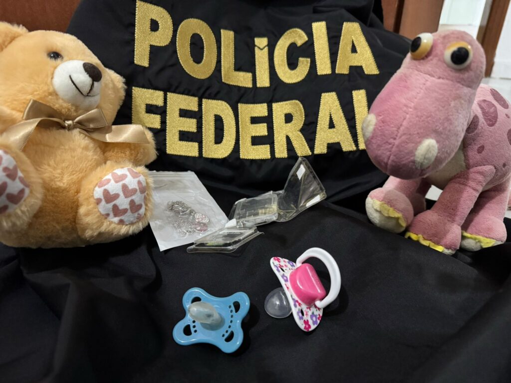 PF prende homem por armazenar material relacionado a abuso sexual infantojuvenil em Blumenau