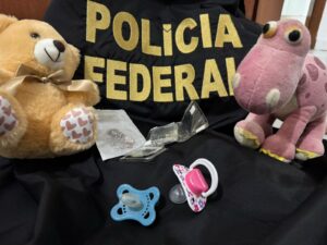PF prende homem por armazenar material relacionado a abuso sexual infantojuvenil em Blumenau