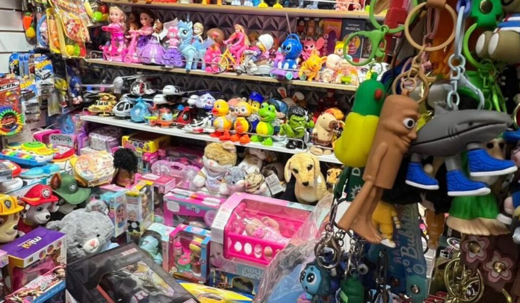 Polícia apreende R$ 100 mil em brinquedos falsificados em Florianópolis