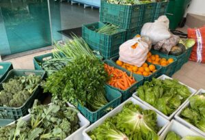 Santa Catarina lidera ranking nacional de segurança alimentar, segundo IBGE