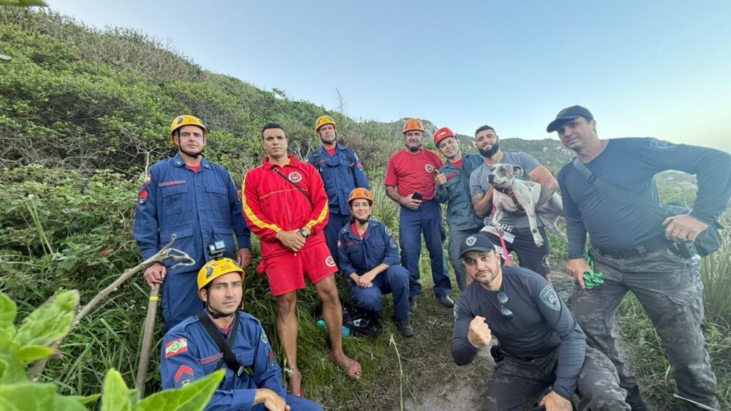 Cadela cai em fenda de 5 metros e mobiliza operação de resgate no Morro das Aranhas, em Florianópolis