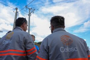 Celesc realiza operação preventiva de limpeza de vegetação na SC-406 nesta segunda-feira