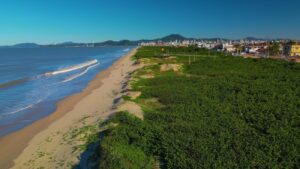 Decisão do STJ sobre áreas de restinga equilibra proteção ambiental e desenvolvimento urbano