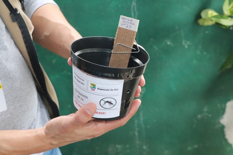 Florianópolis instala novas armadilhas para monitorar mosquito da dengue