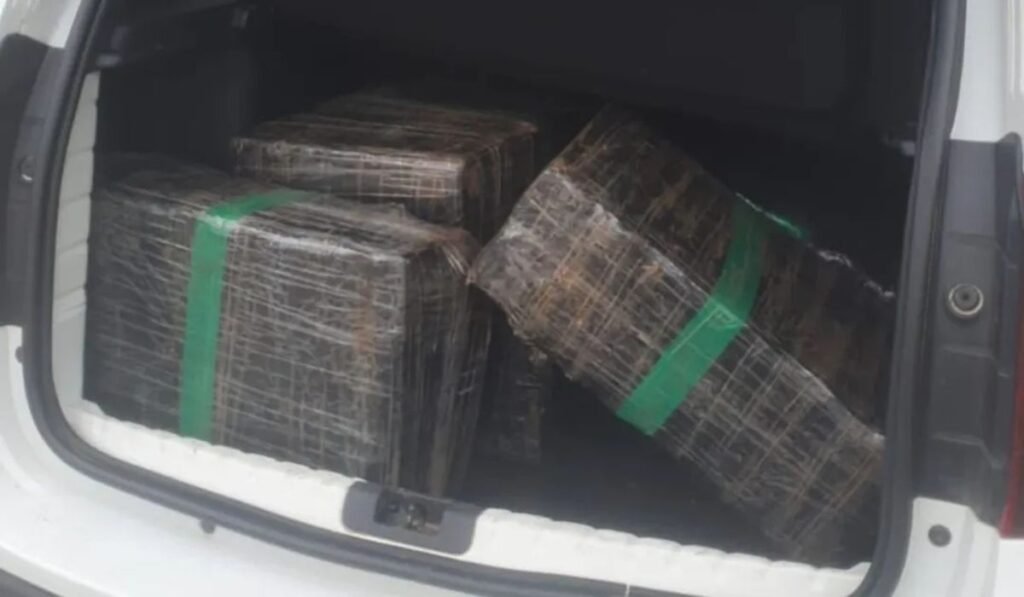 Jovem de 24 anos é preso com quase 300 kg de maconha na Grande Florianópolis