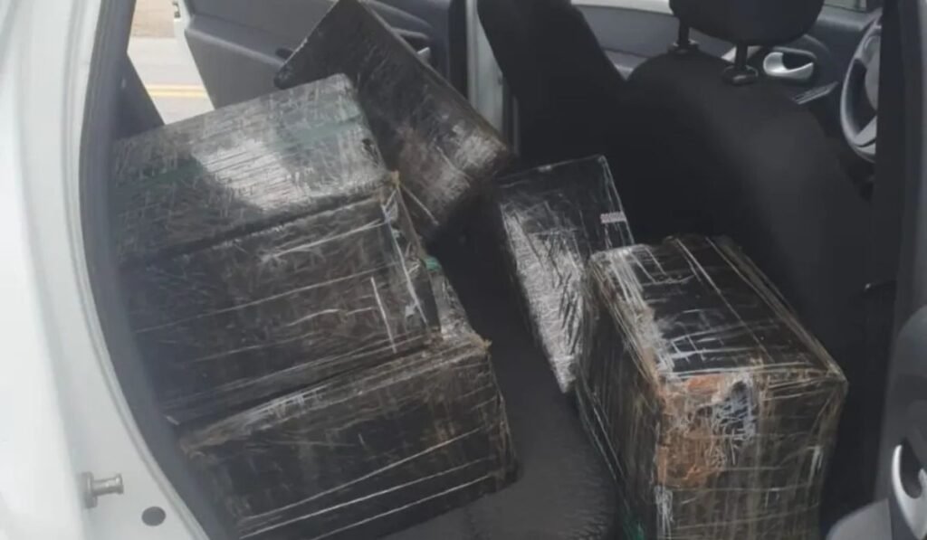 Jovem de 24 anos é preso com quase 300 kg de maconha na Grande Florianópolis