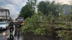 FOTOS: Temporal derruba árvores e alaga ruas em Lages