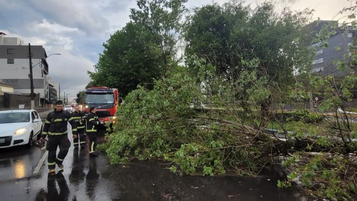 FOTOS: Temporal derruba árvores e alaga ruas em Lages