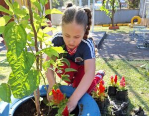 Experiência sensível e aprendizado ativo marcam projeto na educação infantil de São José