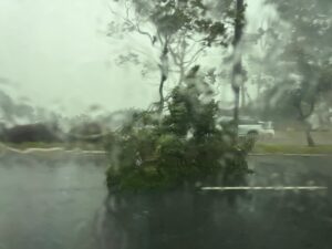 Forte tempestade volta a atingir Santa Catarina; mais de 150 mil unidades consumidoras estão sem luz