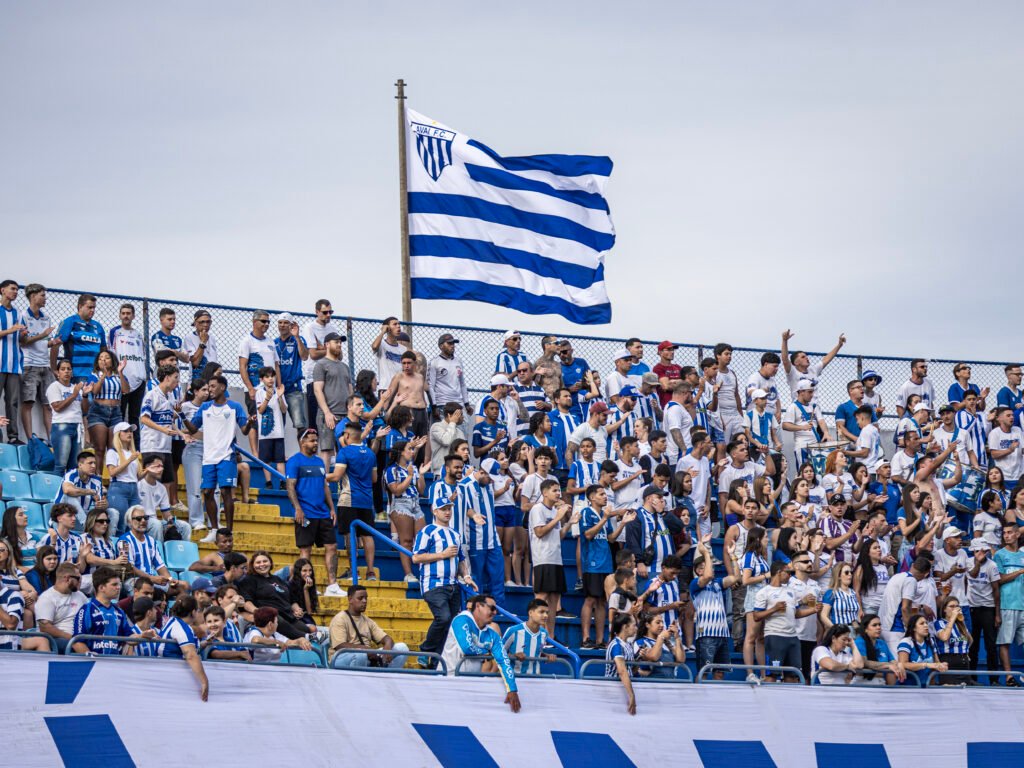 Imagem atual: Sócios aprovam SAF do Avaí, mas Justiça suspende decisão alegando problemas na condução do processo