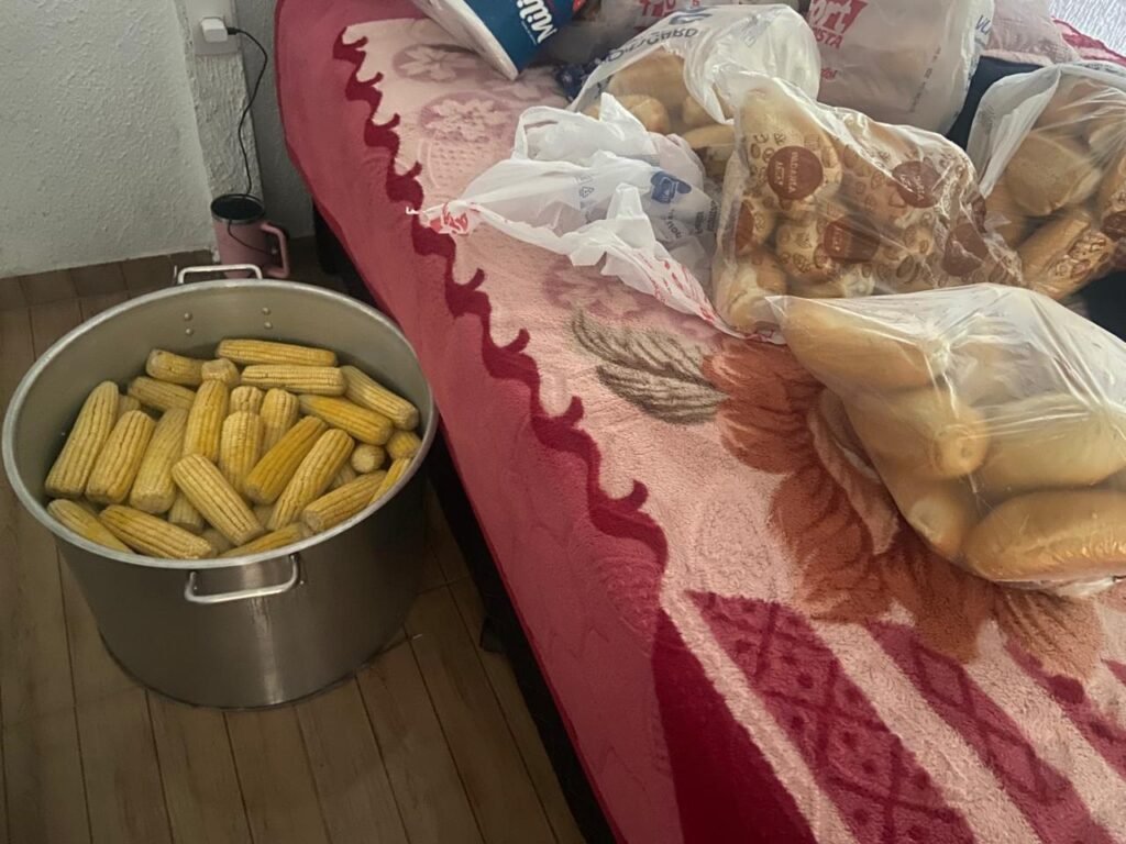 VÍDEOS: 4 cozinhas clandestinas em condições insalubres são interditadas em Florianópolis