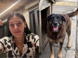 Ana Castela se manifesta sobre morte do cão Orelha: “não entra na minha cabeça”