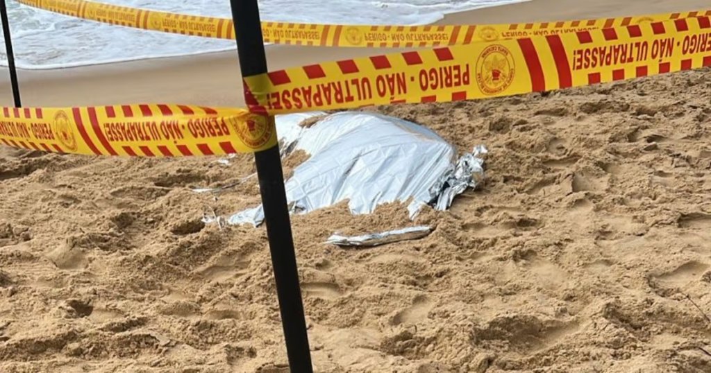 empresário balneário camboriú