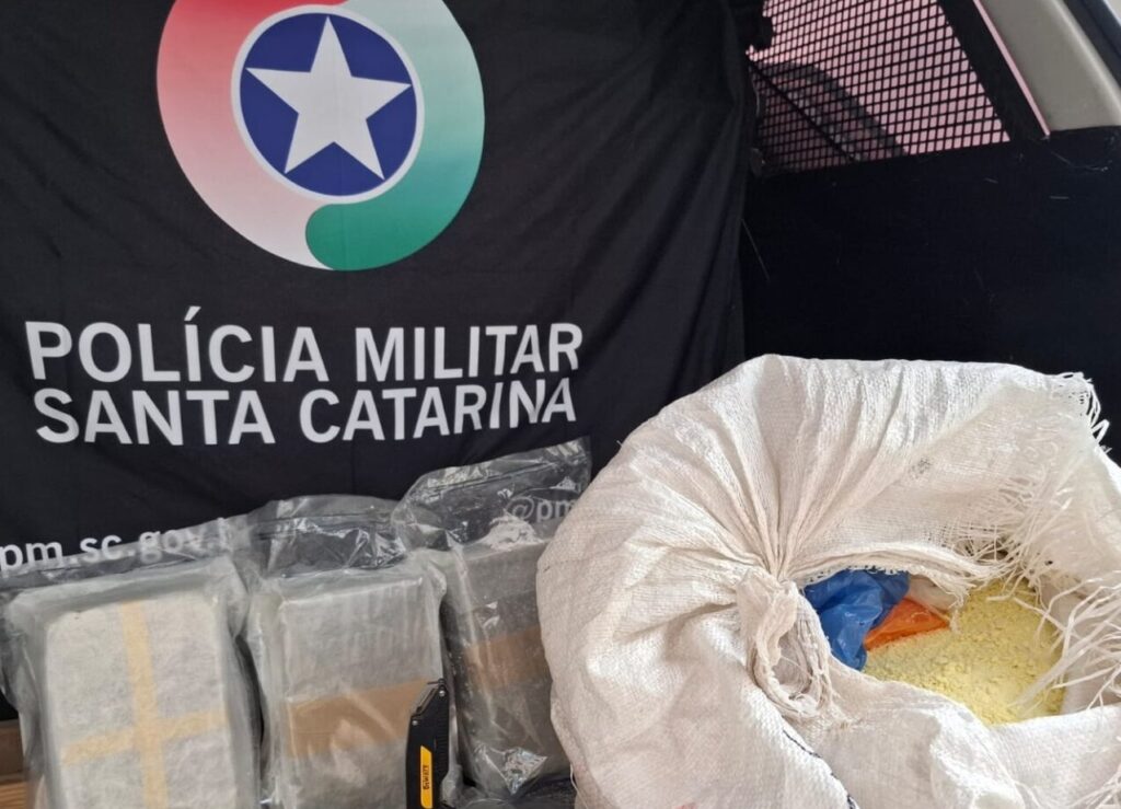 florianópolis rita maria skunk