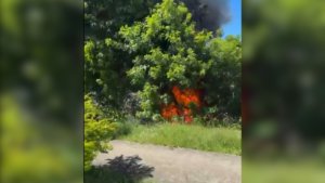 VÍDEO: incêndio em entulho se alastra para vegetação no centro de Florianópolis