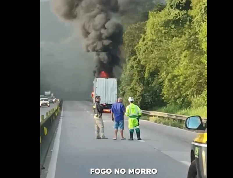 morro dos cavalos palhoça