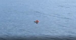 VÍDEOS: Náufrago é resgatado após passar a noite agarrado a objeto flutuante em São Francisco do Sul